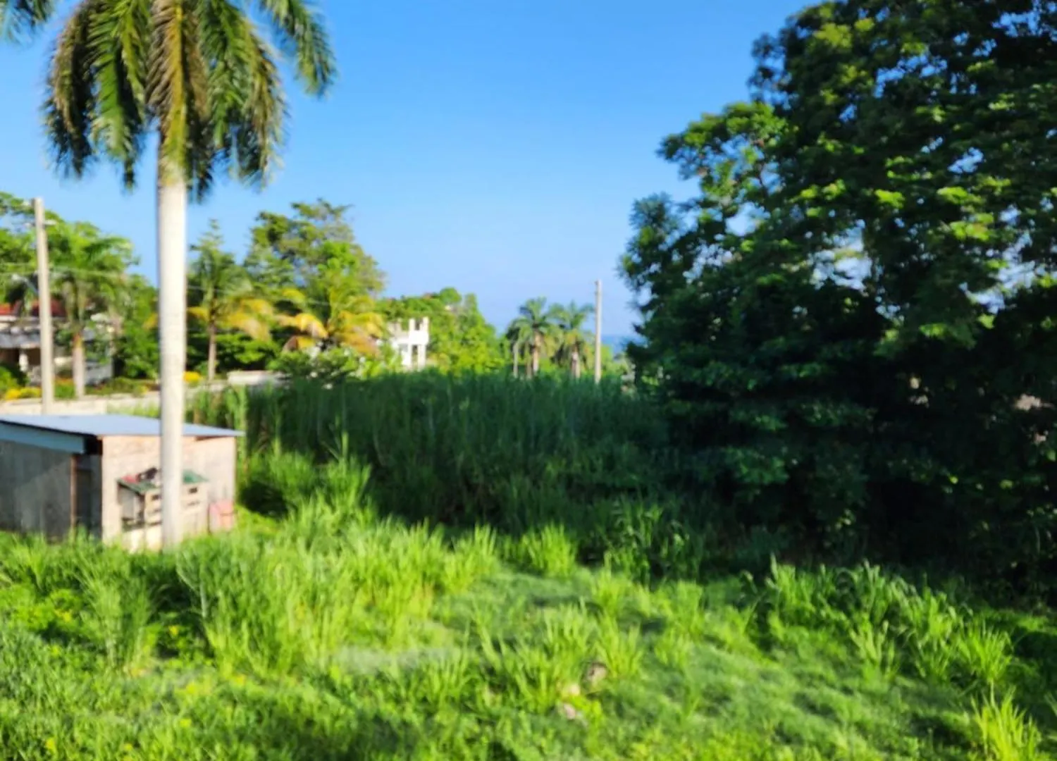 Paradise Nestled Between Montego Bay And Negril Hopewell 0*,  ジャマイカ